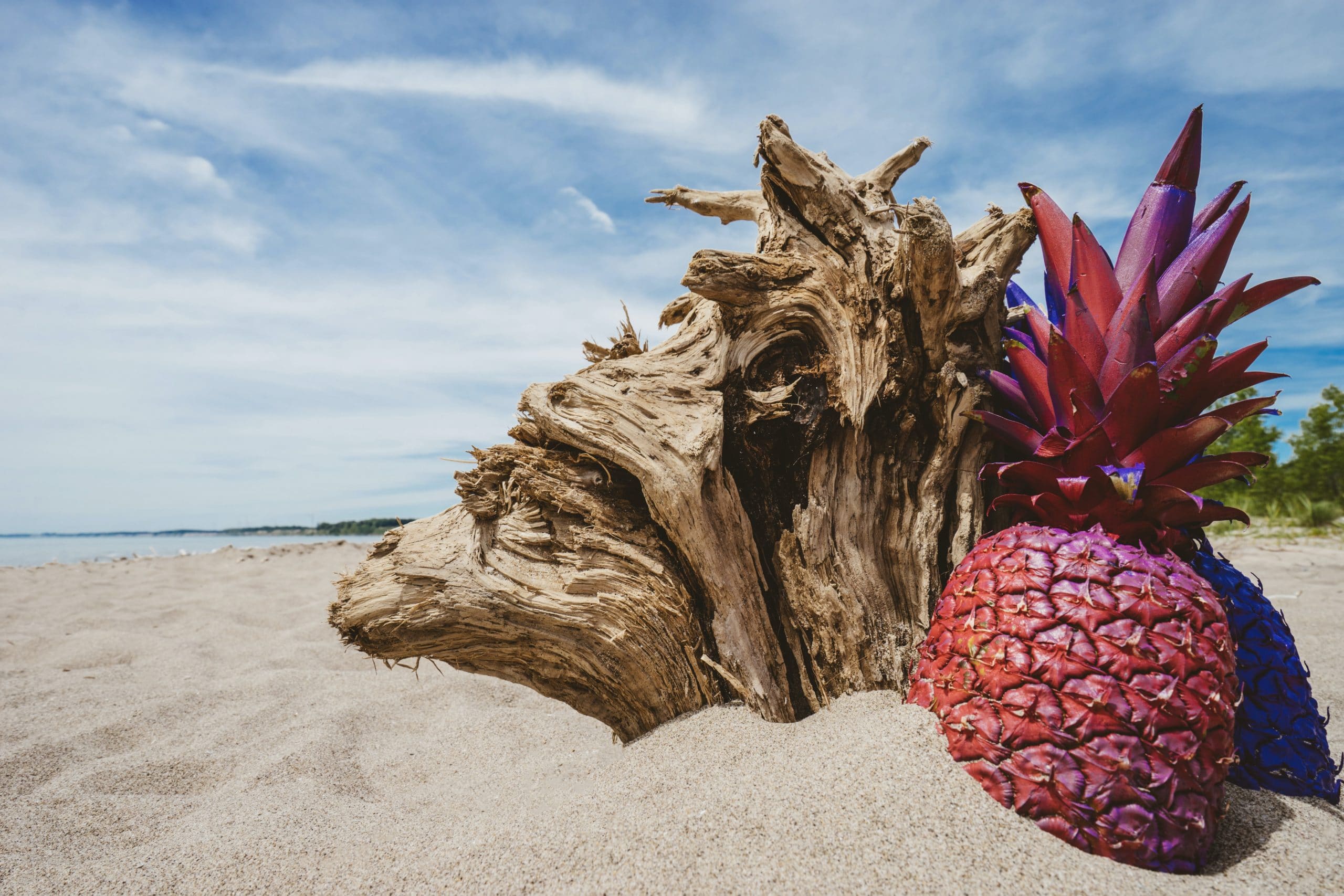 pineapple-supply-co-Uk7hwmG7UaA-unsplash