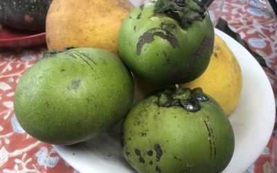 Today is a good day to change my life