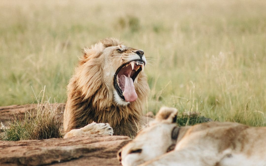 Where is the exhaustion coming from?